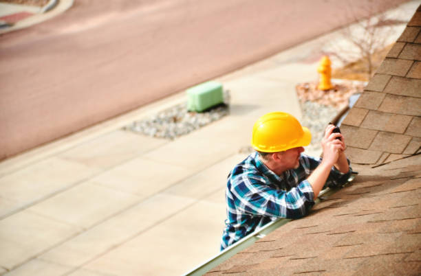 Best Roof Gutter Cleaning  in Patton Village, TX